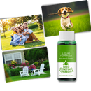 Spray revitalisant pour gazon