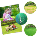 Spray revitalisant pour gazon