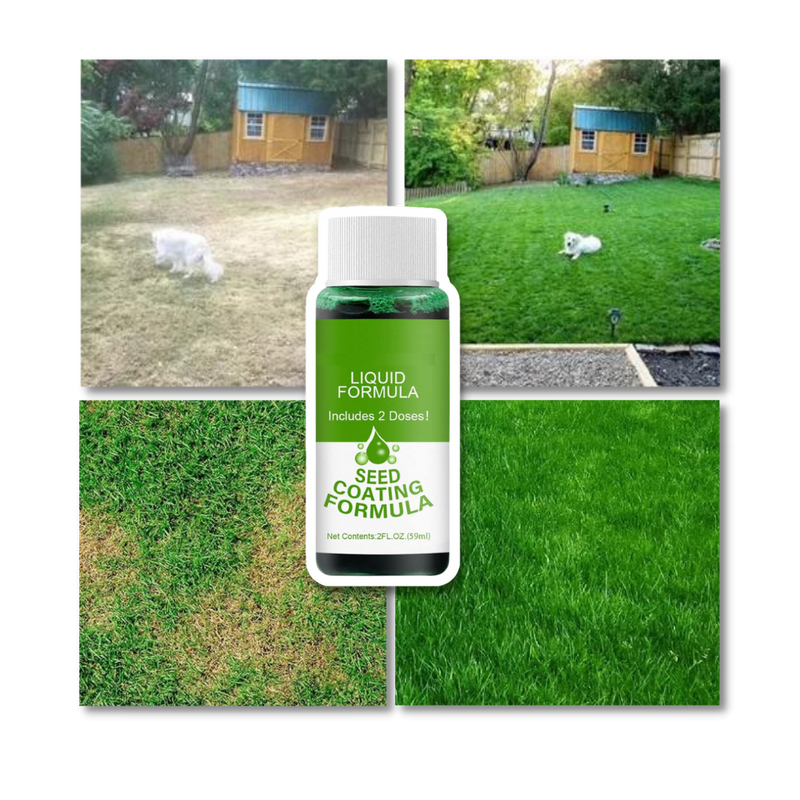 Spray revitalisant pour gazon