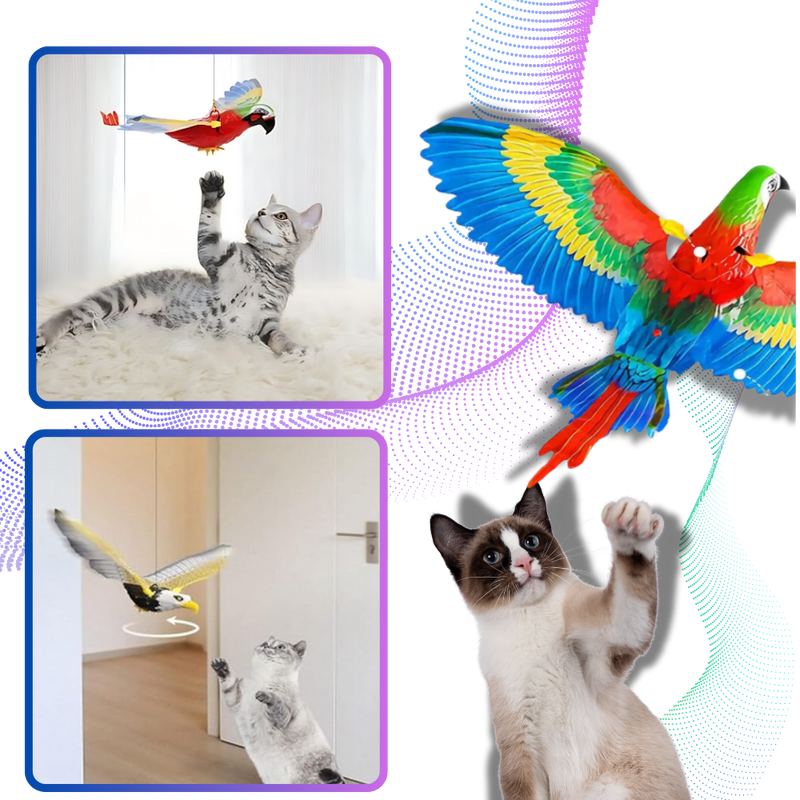 Jouet oiseau volant pour chat à suspendre