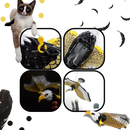 Jouet oiseau volant pour chat à suspendre