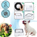 Gamelle anti-éclaboussures pour chiens