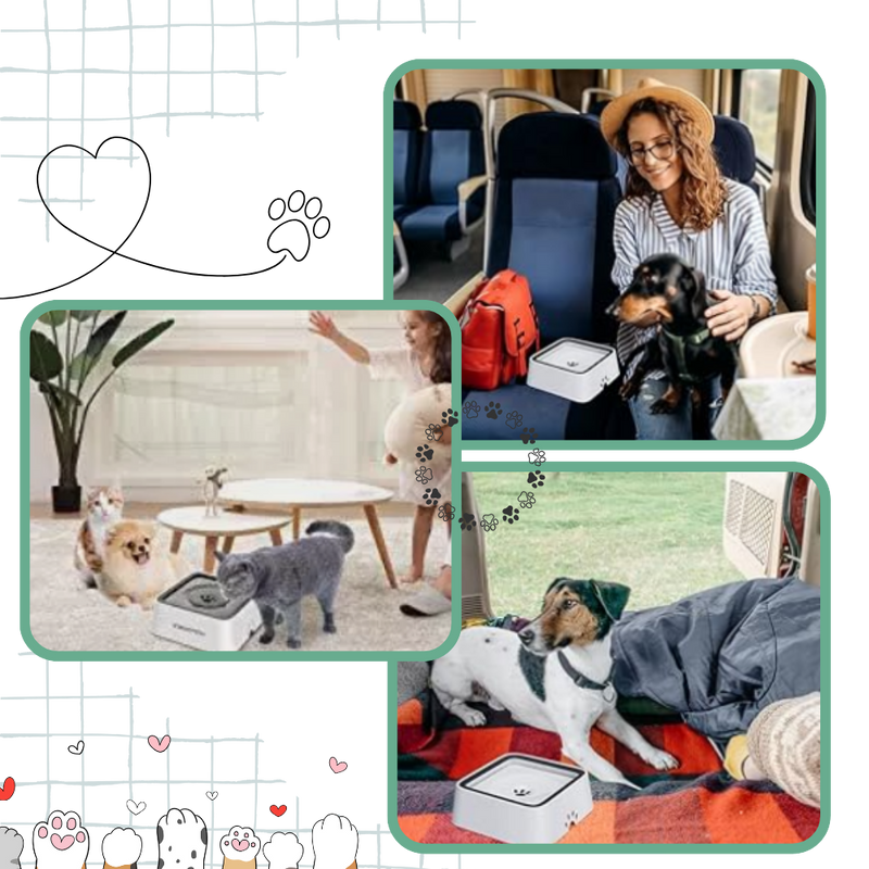 Gamelle anti-éclaboussures pour chiens