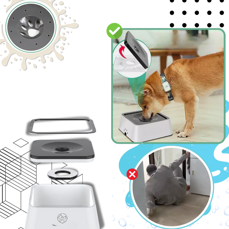Gamelle anti-éclaboussures pour chiens