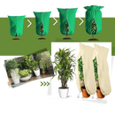 Couvre-plantes isolants supérieurs contre le gel