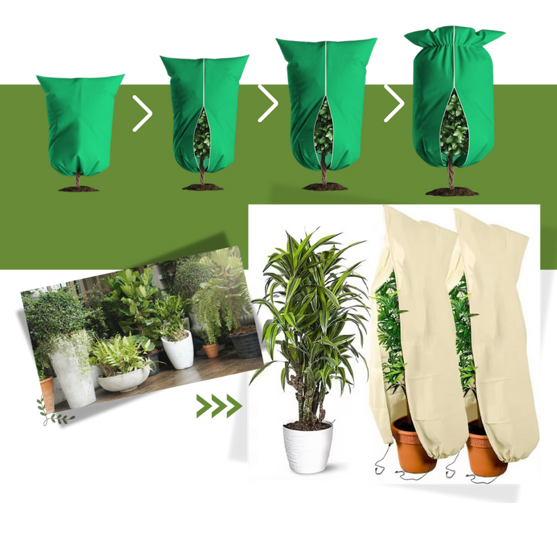 Couvre-plantes isolants supérieurs contre le gel