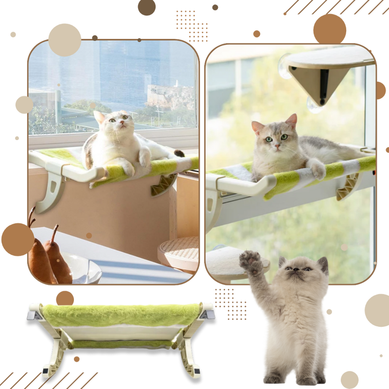 Lit pour chat et perchoir de fenêtre sans outil