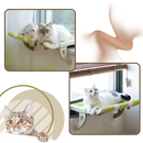 Lit pour chat et perchoir de fenêtre sans outil