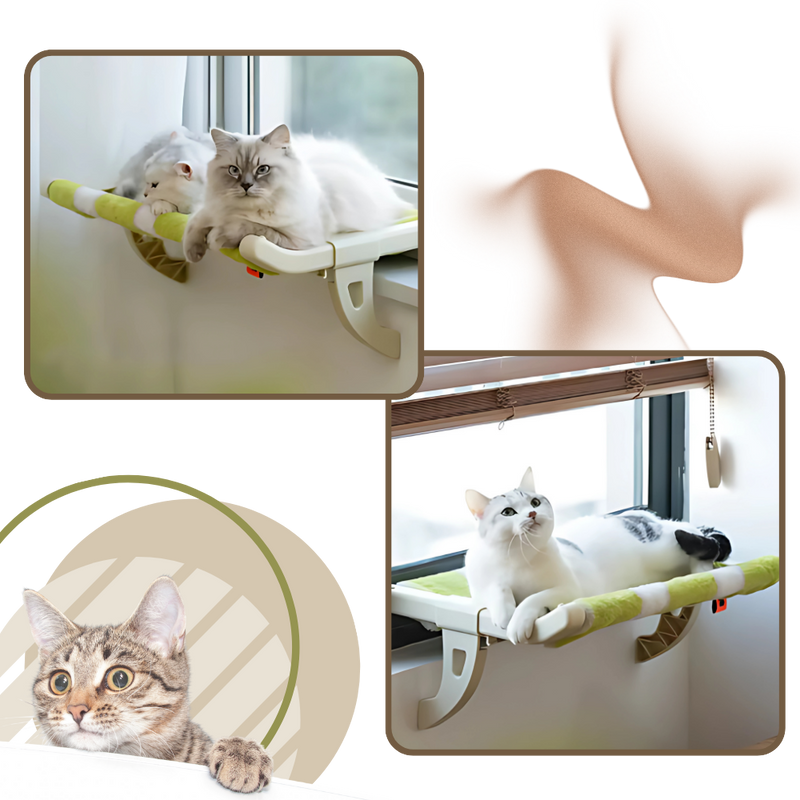 Lit pour chat et perchoir de fenêtre sans outil