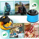 Aiguiseur de couteaux en carbure de tungstène