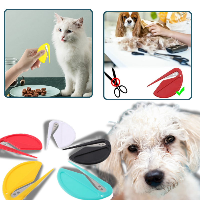 Démêloir polyvalent pour animaux de compagnie