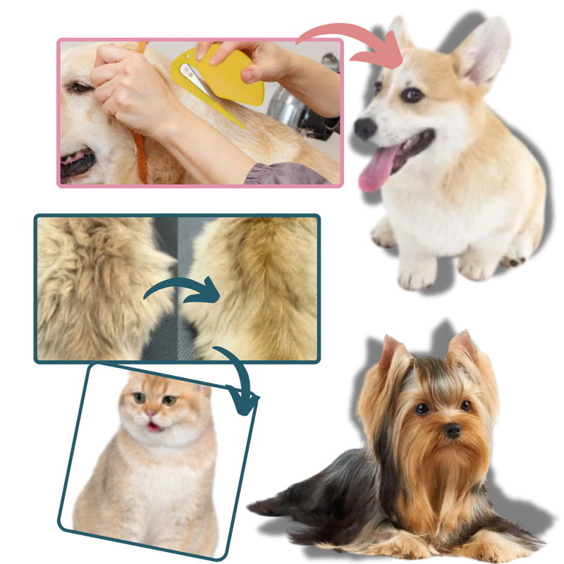 Démêloir polyvalent pour animaux de compagnie