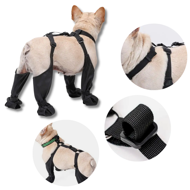 Bottes à bretelles imperméables pour chiens
